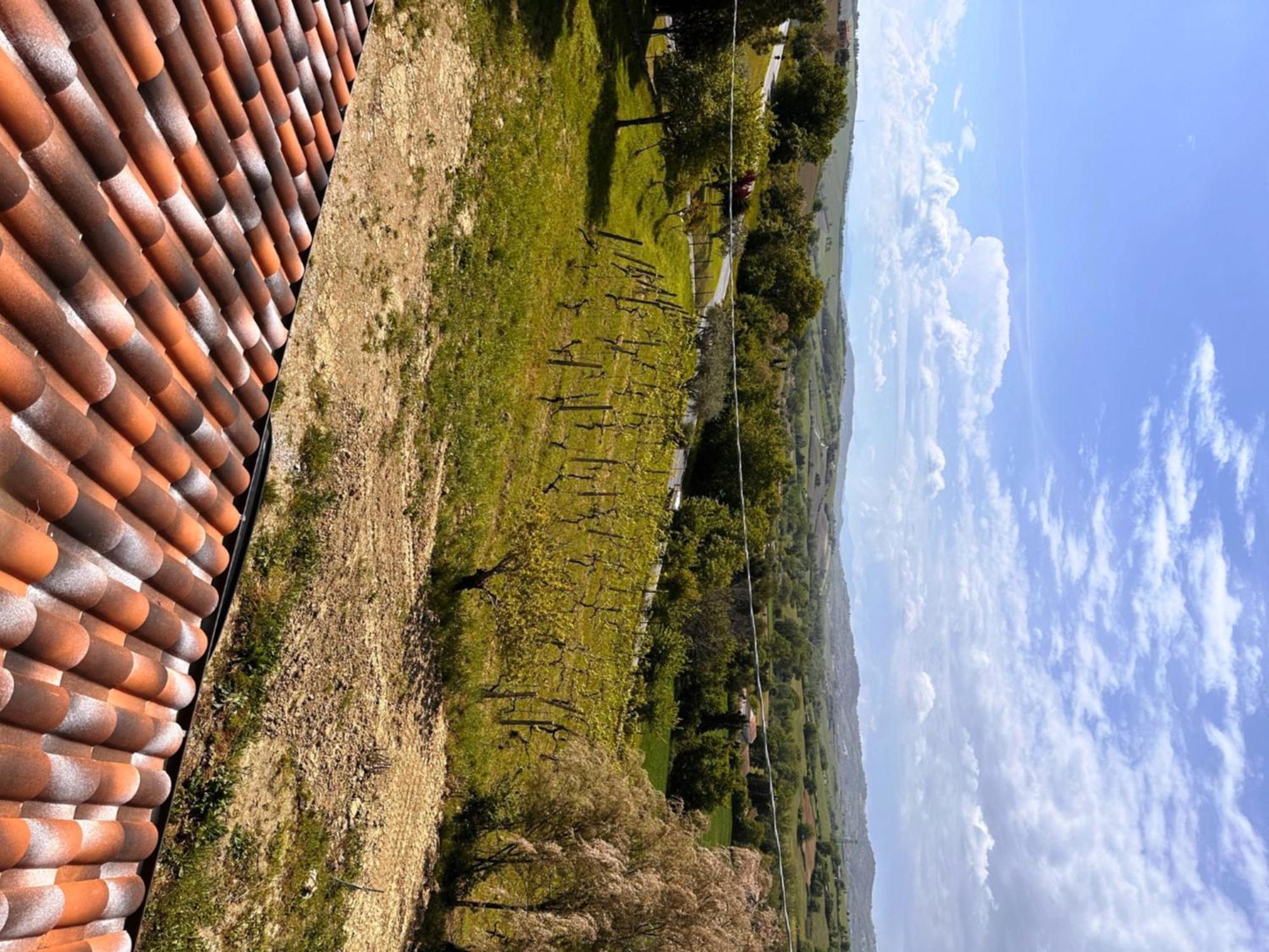 La Sosta Di Guido A Tavullia Bed & Breakfast Exterior photo
